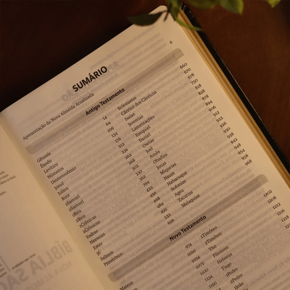 BIBLIA SAGRADA MAPAS MENTAIS NAA LETRA GRANDE PRETO