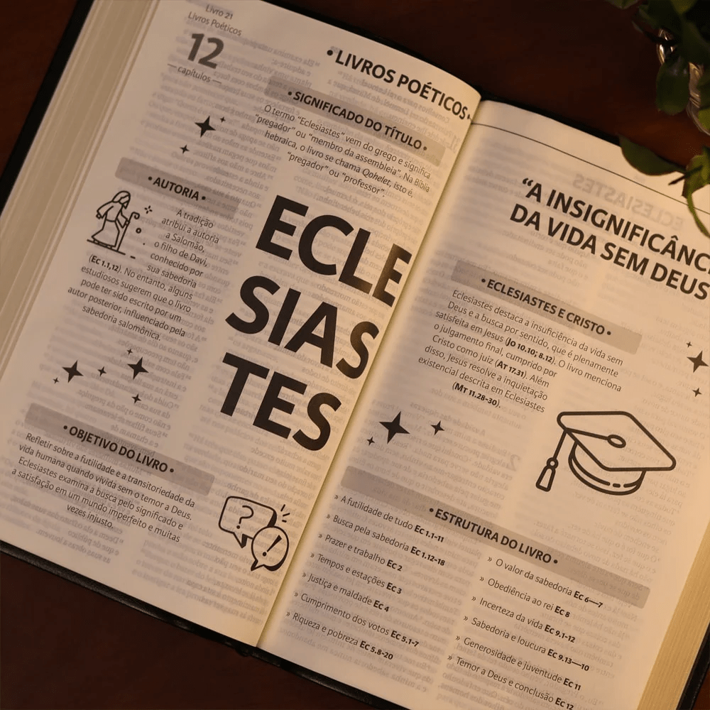 BIBLIA SAGRADA MAPAS MENTAIS NAA LETRA GRANDE PRETO