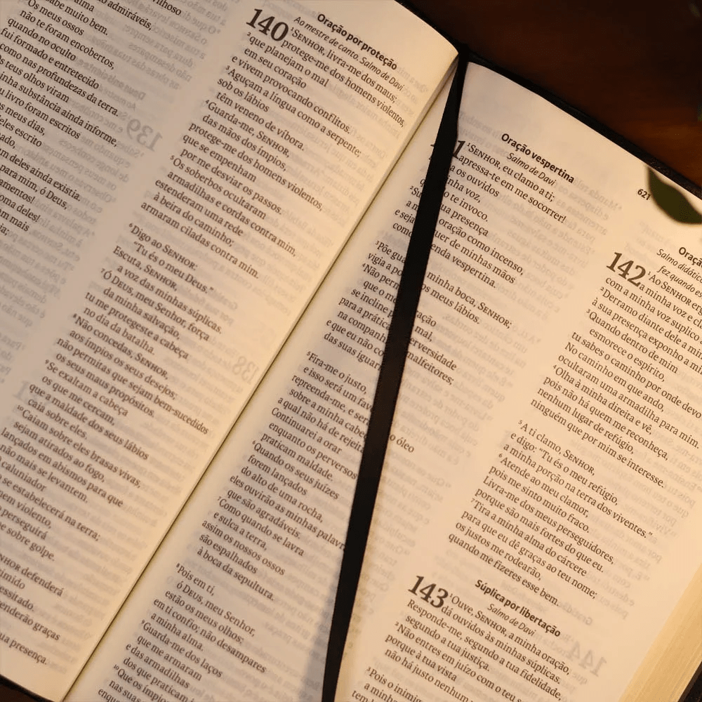 BIBLIA SAGRADA MAPAS MENTAIS NAA LETRA GRANDE PRETO