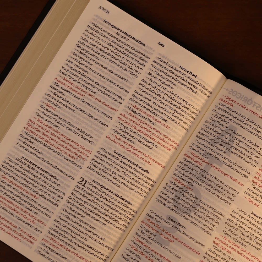 BIBLIA SAGRADA MAPAS MENTAIS NAA LETRA GRANDE PRETO