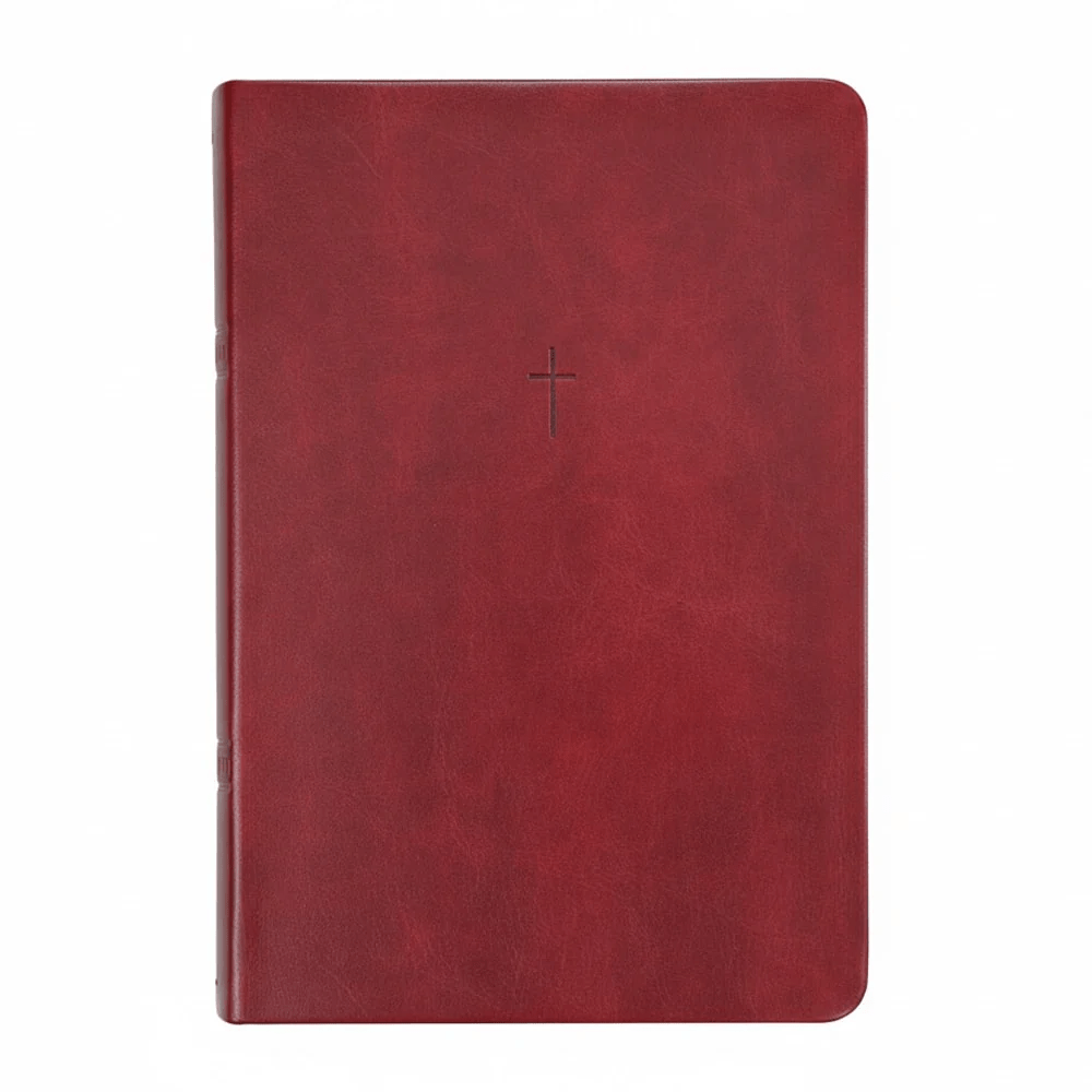 BIBLIA SAGRADA MAPAS MENTAIS  NAA LETRA GRANDE VINHO