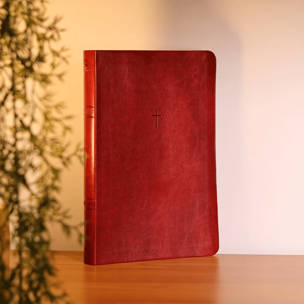 BIBLIA SAGRADA MAPAS MENTAIS  NAA LETRA GRANDE VINHO
