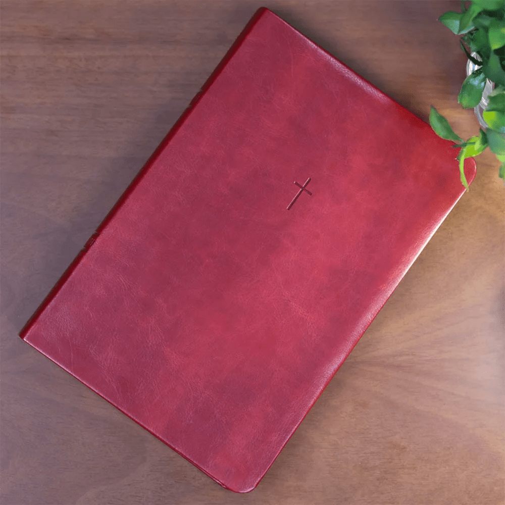BIBLIA SAGRADA MAPAS MENTAIS  NAA LETRA GRANDE VINHO