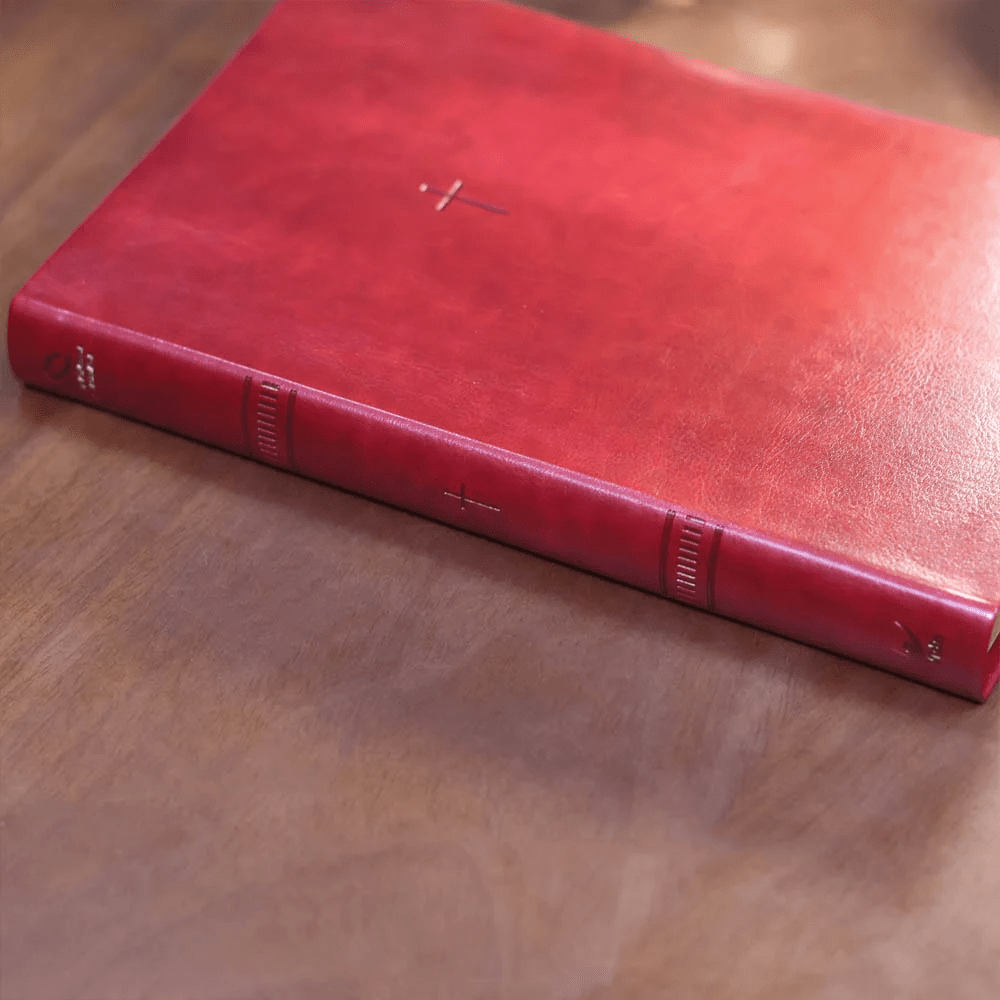 BIBLIA SAGRADA MAPAS MENTAIS  NAA LETRA GRANDE VINHO