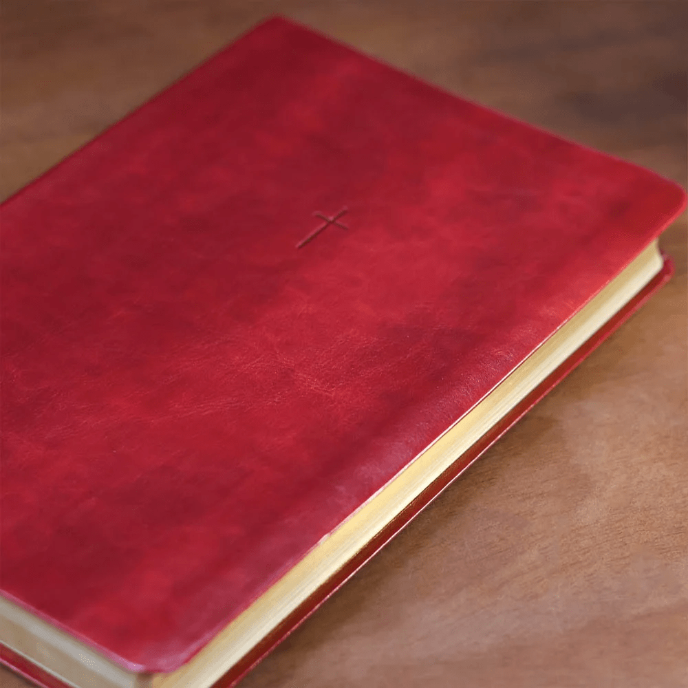 BIBLIA SAGRADA MAPAS MENTAIS  NAA LETRA GRANDE VINHO