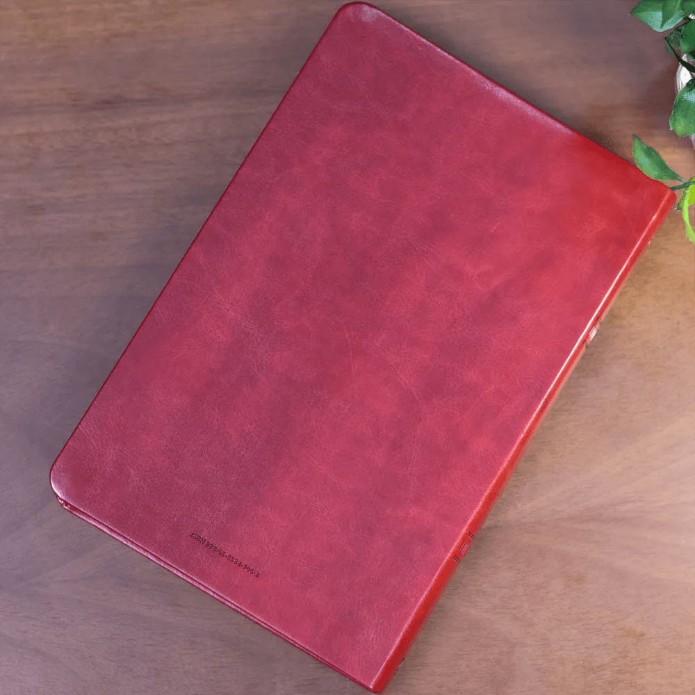 BIBLIA SAGRADA MAPAS MENTAIS  NAA LETRA GRANDE VINHO