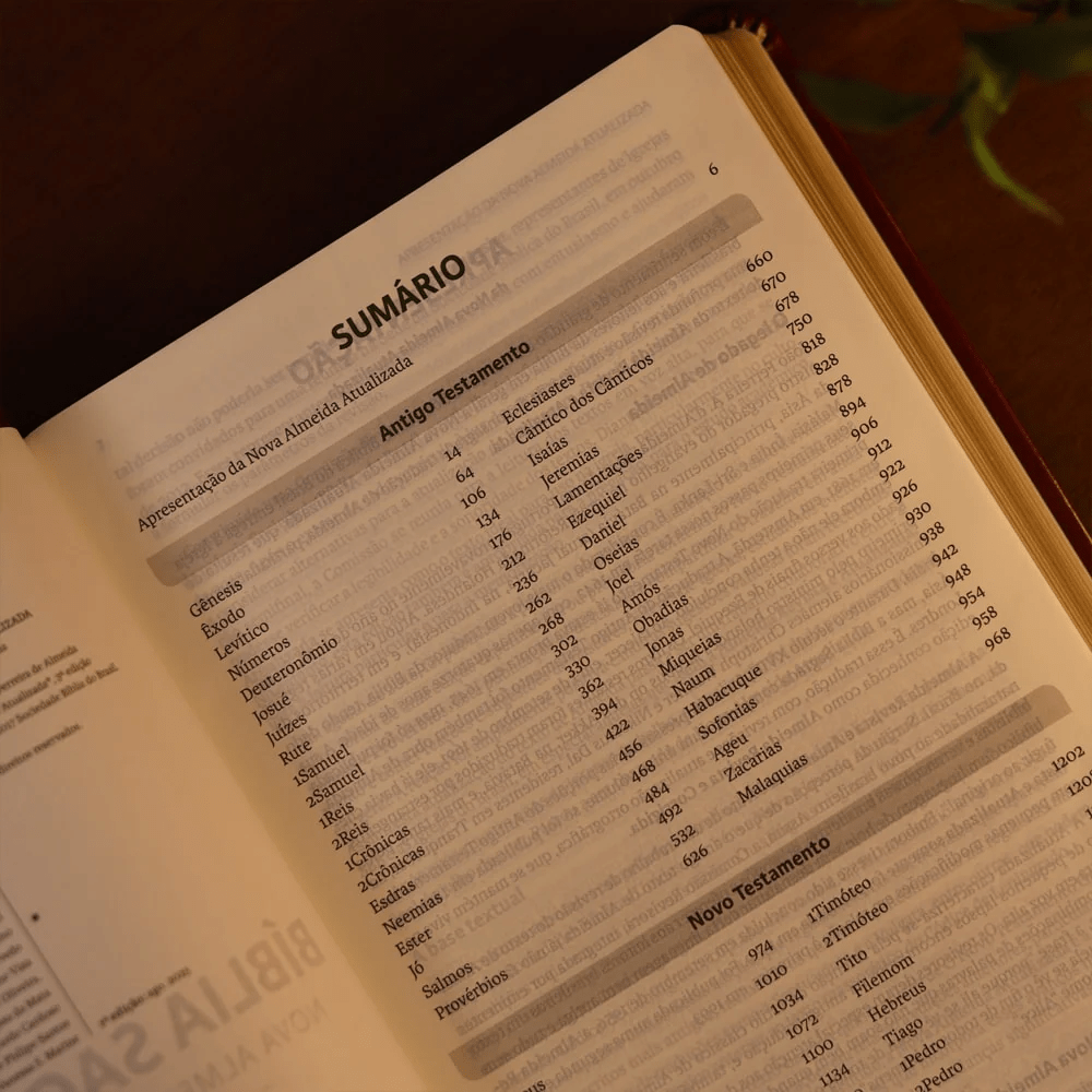 BIBLIA SAGRADA MAPAS MENTAIS  NAA LETRA GRANDE VINHO