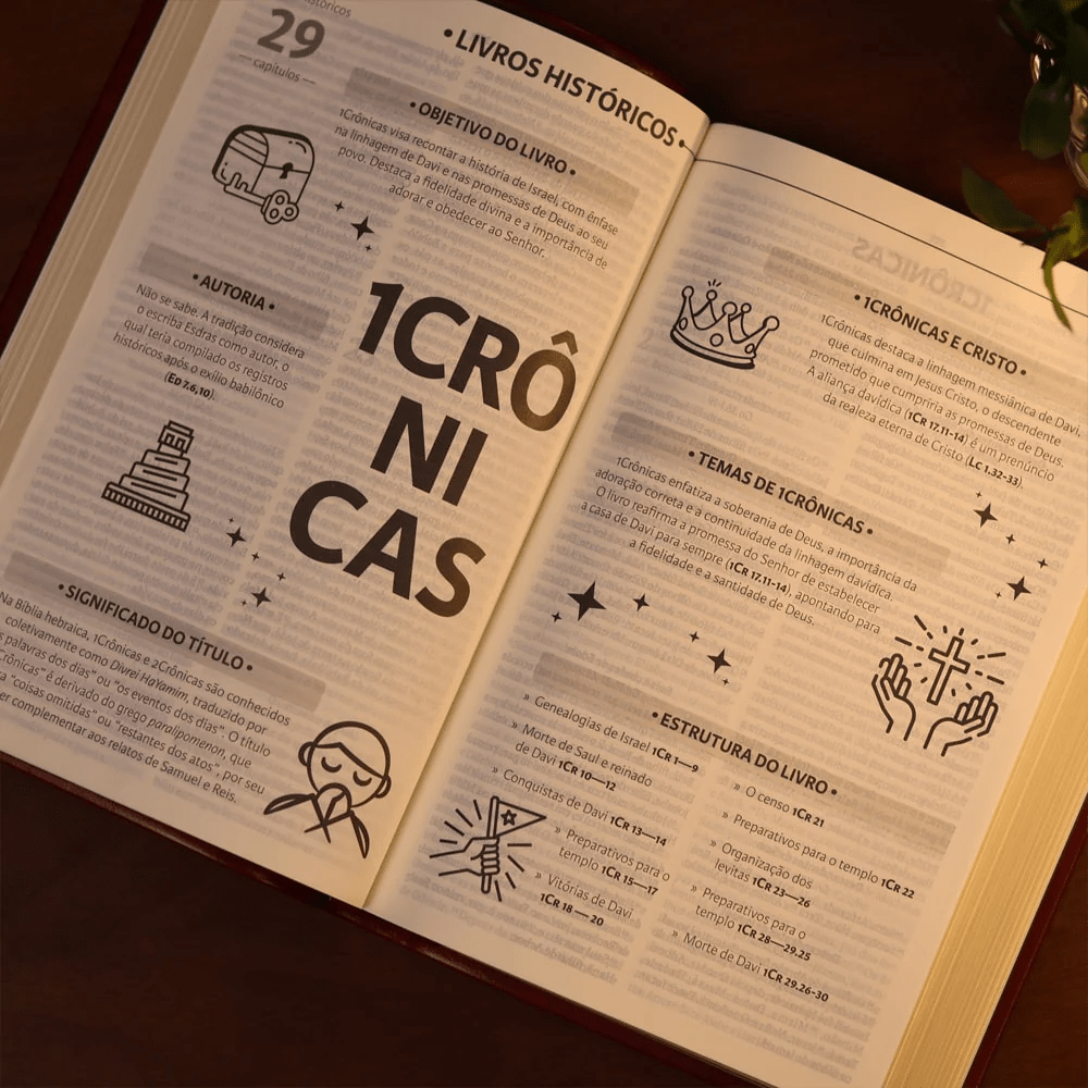 BIBLIA SAGRADA MAPAS MENTAIS  NAA LETRA GRANDE VINHO