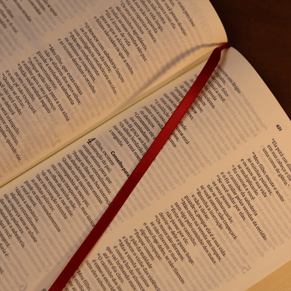 BIBLIA SAGRADA MAPAS MENTAIS  NAA LETRA GRANDE VINHO
