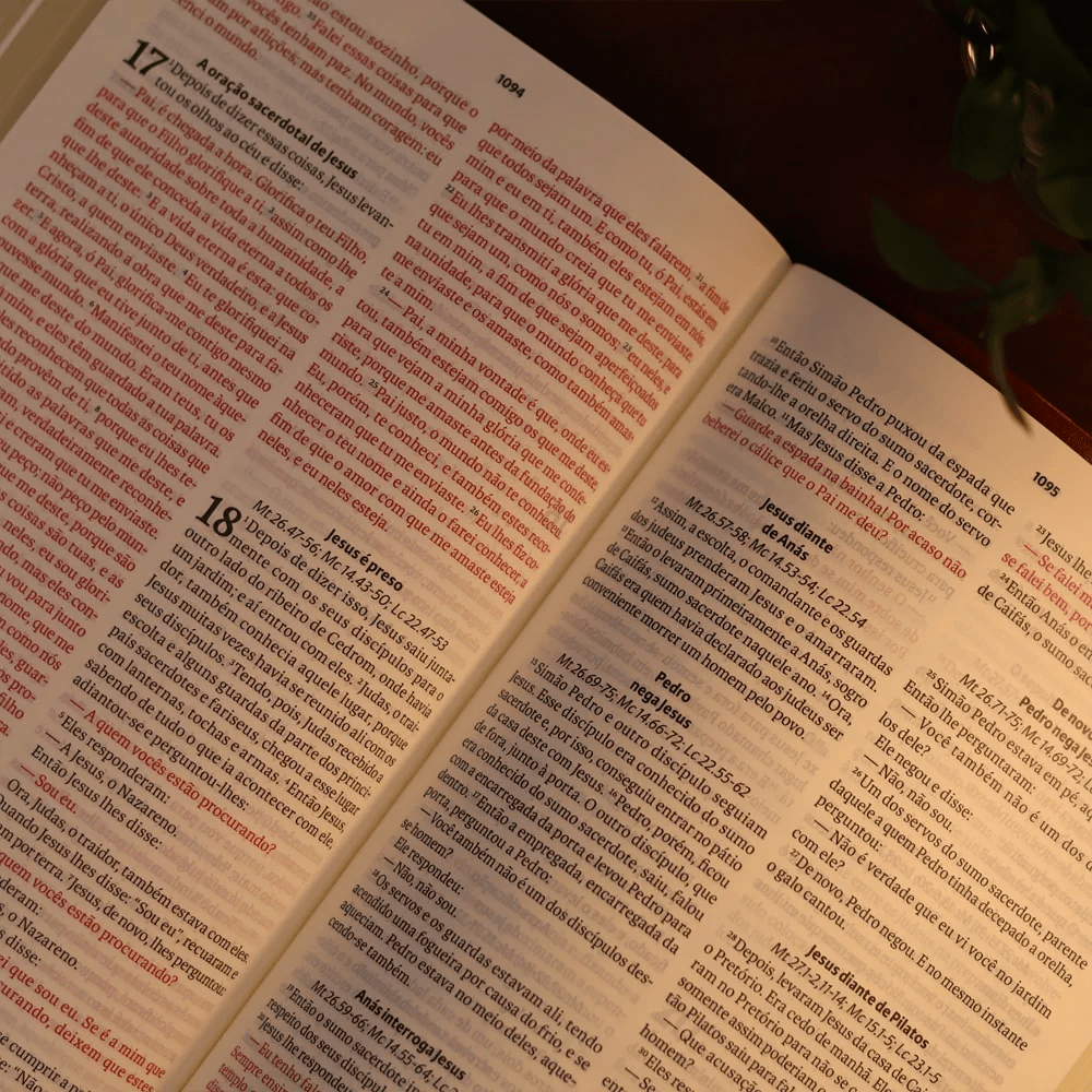 BIBLIA SAGRADA MAPAS MENTAIS  NAA LETRA GRANDE VINHO