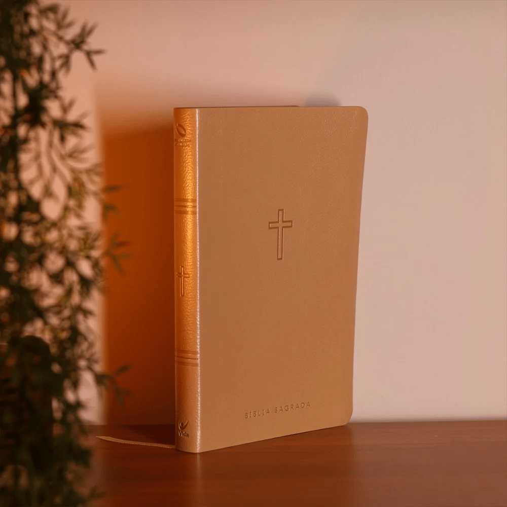 BIBLIA SAGRADA MAPAS MENTAIS NAA SLIM BEGE