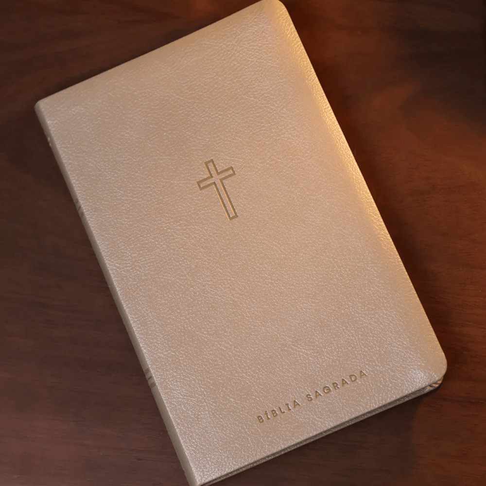 BIBLIA SAGRADA MAPAS MENTAIS NAA SLIM BEGE