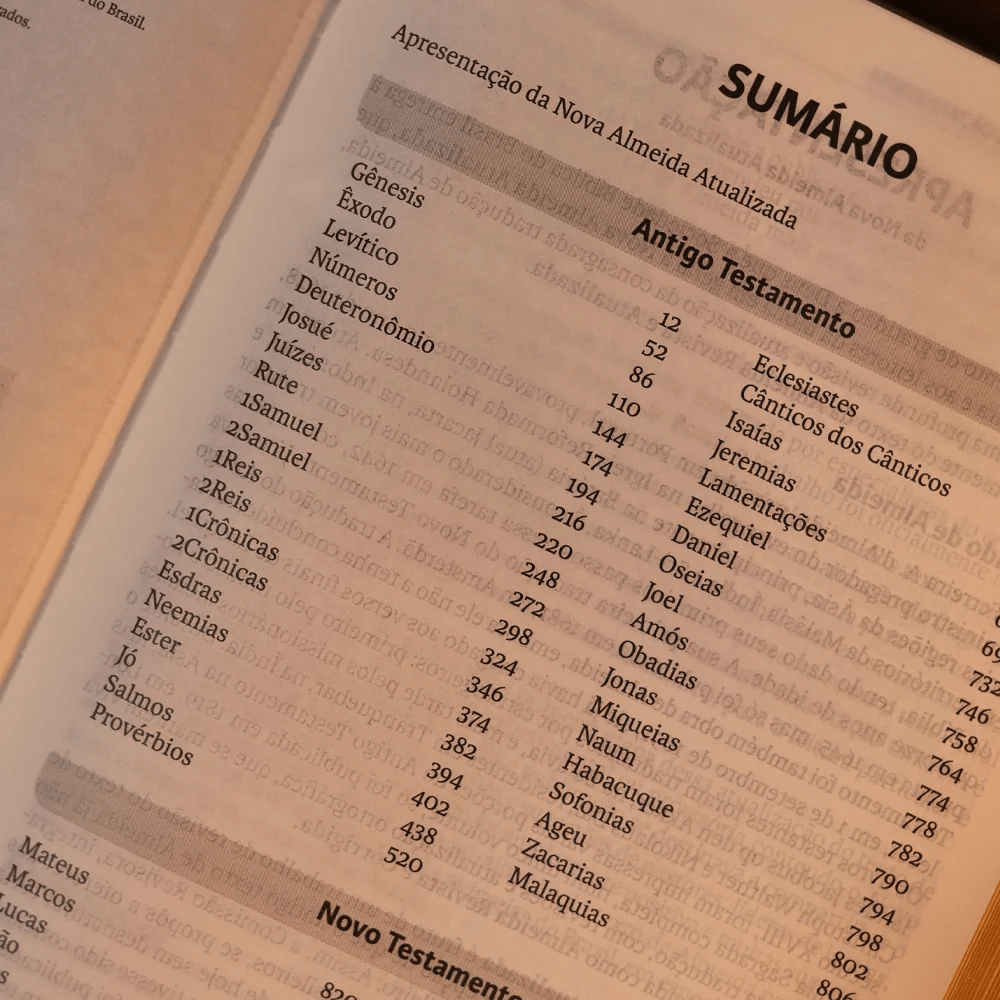 BIBLIA SAGRADA MAPAS MENTAIS NAA SLIM BEGE