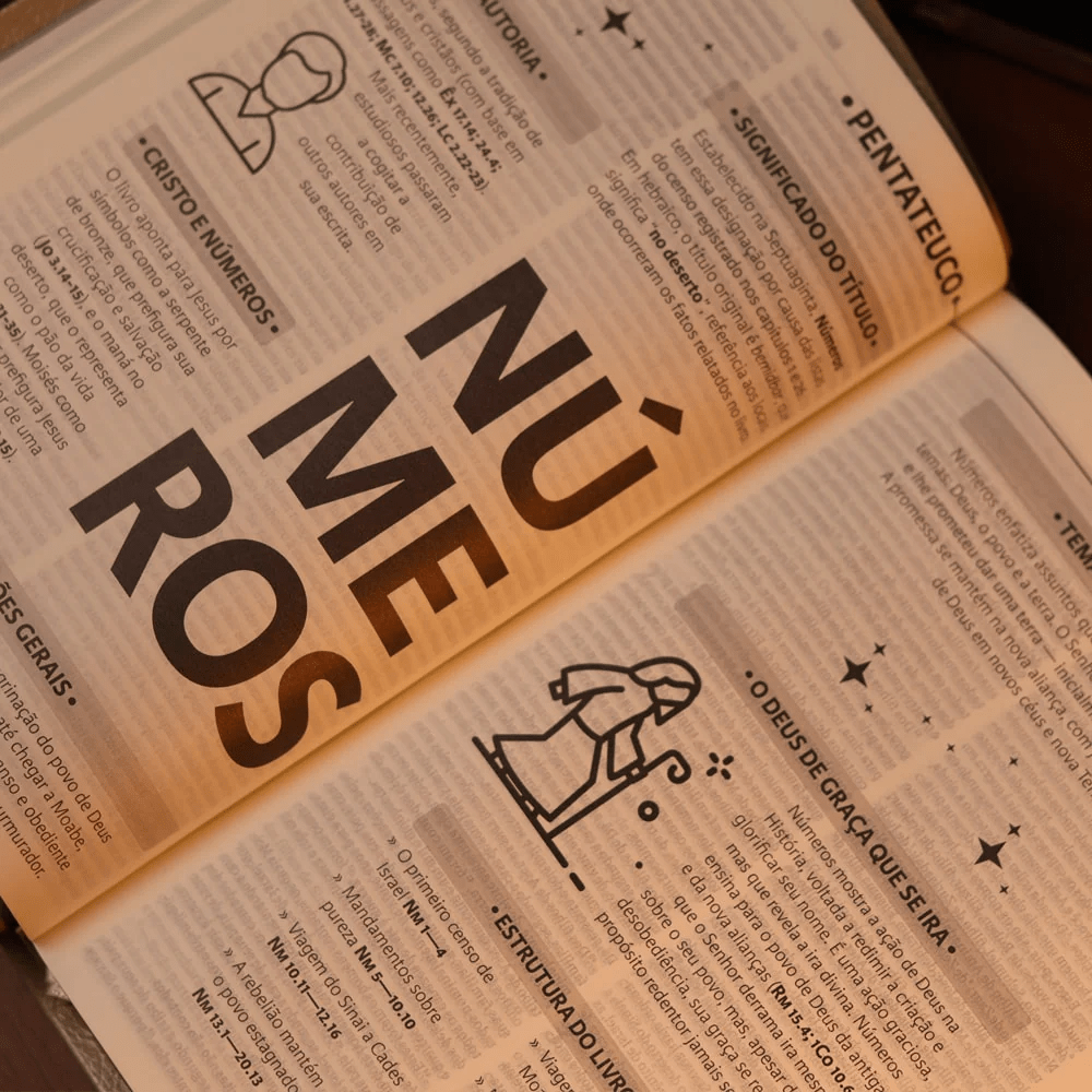 BIBLIA SAGRADA MAPAS MENTAIS NAA SLIM BEGE