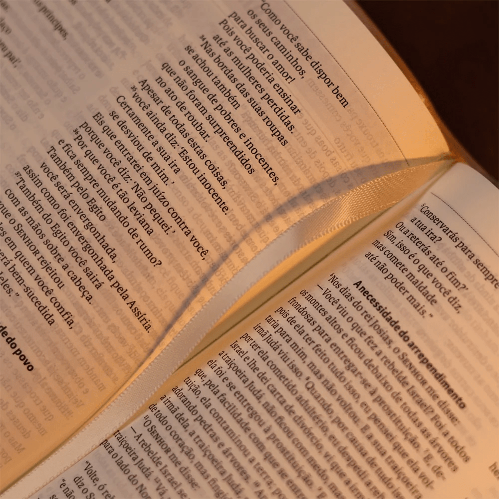 BIBLIA SAGRADA MAPAS MENTAIS NAA SLIM BEGE