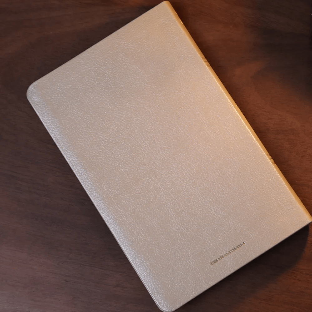 BIBLIA SAGRADA MAPAS MENTAIS NAA SLIM BEGE