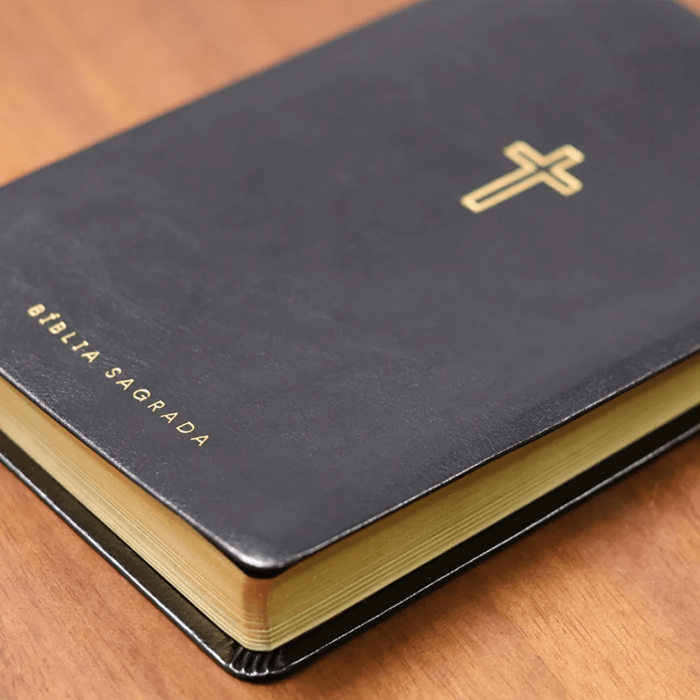 BIBLIA SAGRADA MAPAS MENTAIS NAA SLIM PRETO