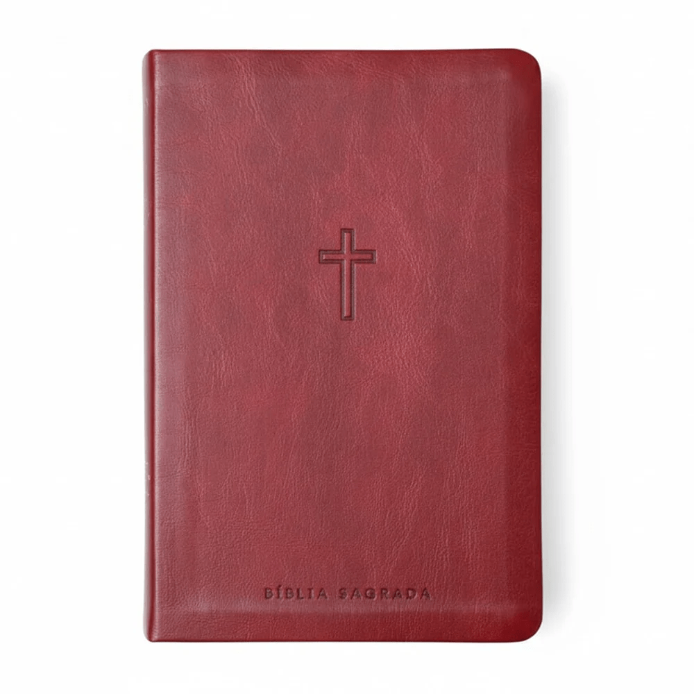 BIBLIA SAGRADA MAPAS MENTAIS NAA SLIM VINHO