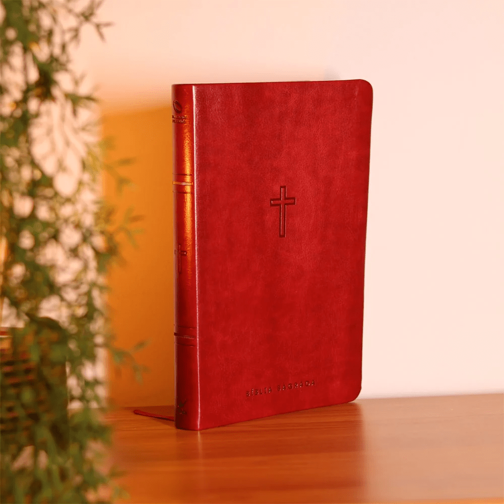 BIBLIA SAGRADA MAPAS MENTAIS NAA SLIM VINHO