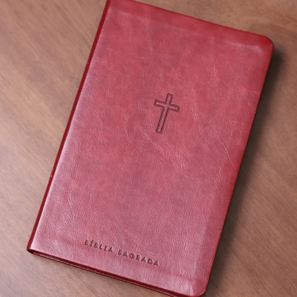 BIBLIA SAGRADA MAPAS MENTAIS NAA SLIM VINHO