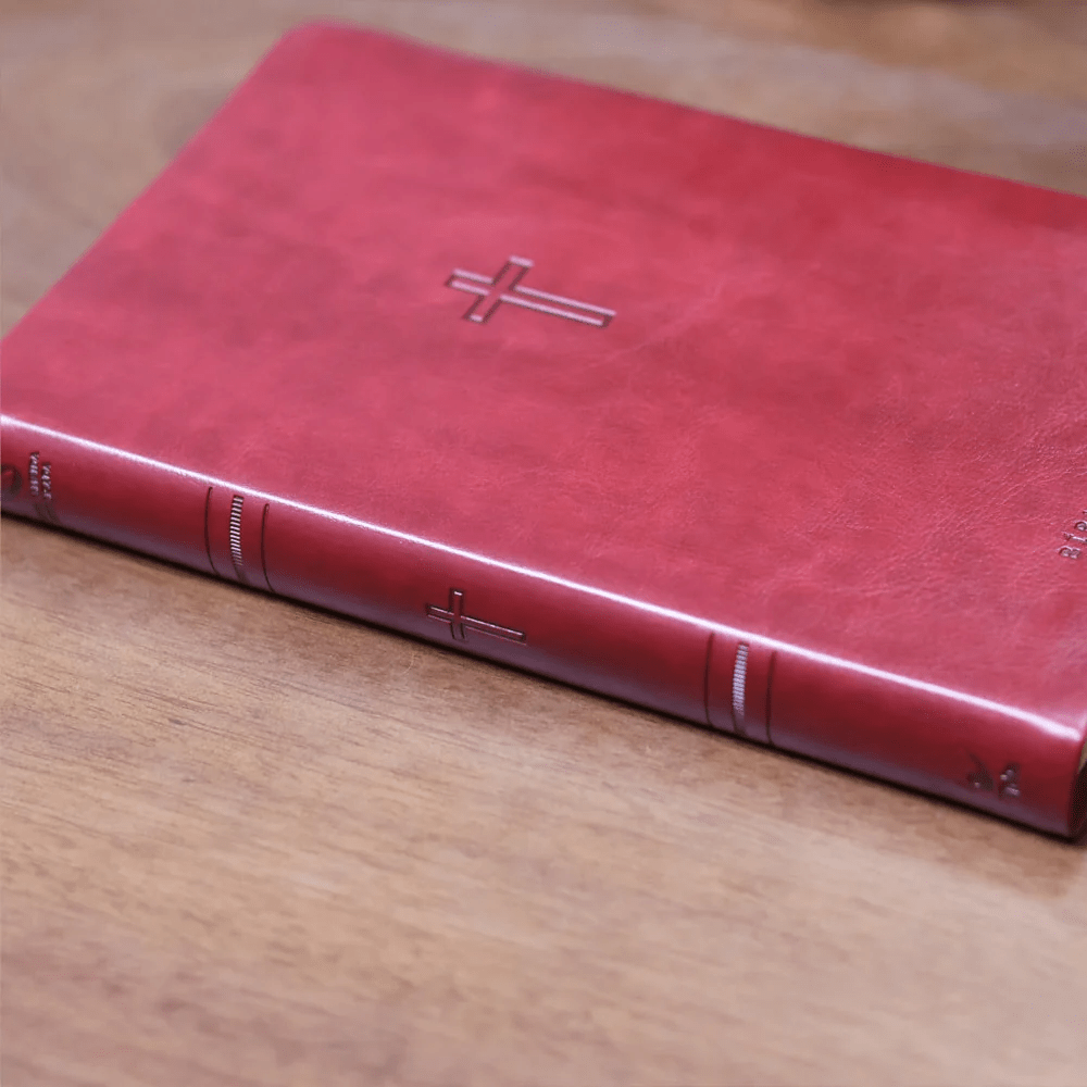 BIBLIA SAGRADA MAPAS MENTAIS NAA SLIM VINHO