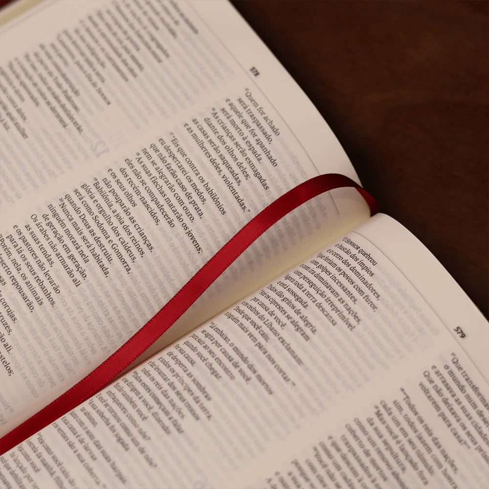 BIBLIA SAGRADA MAPAS MENTAIS NAA SLIM VINHO