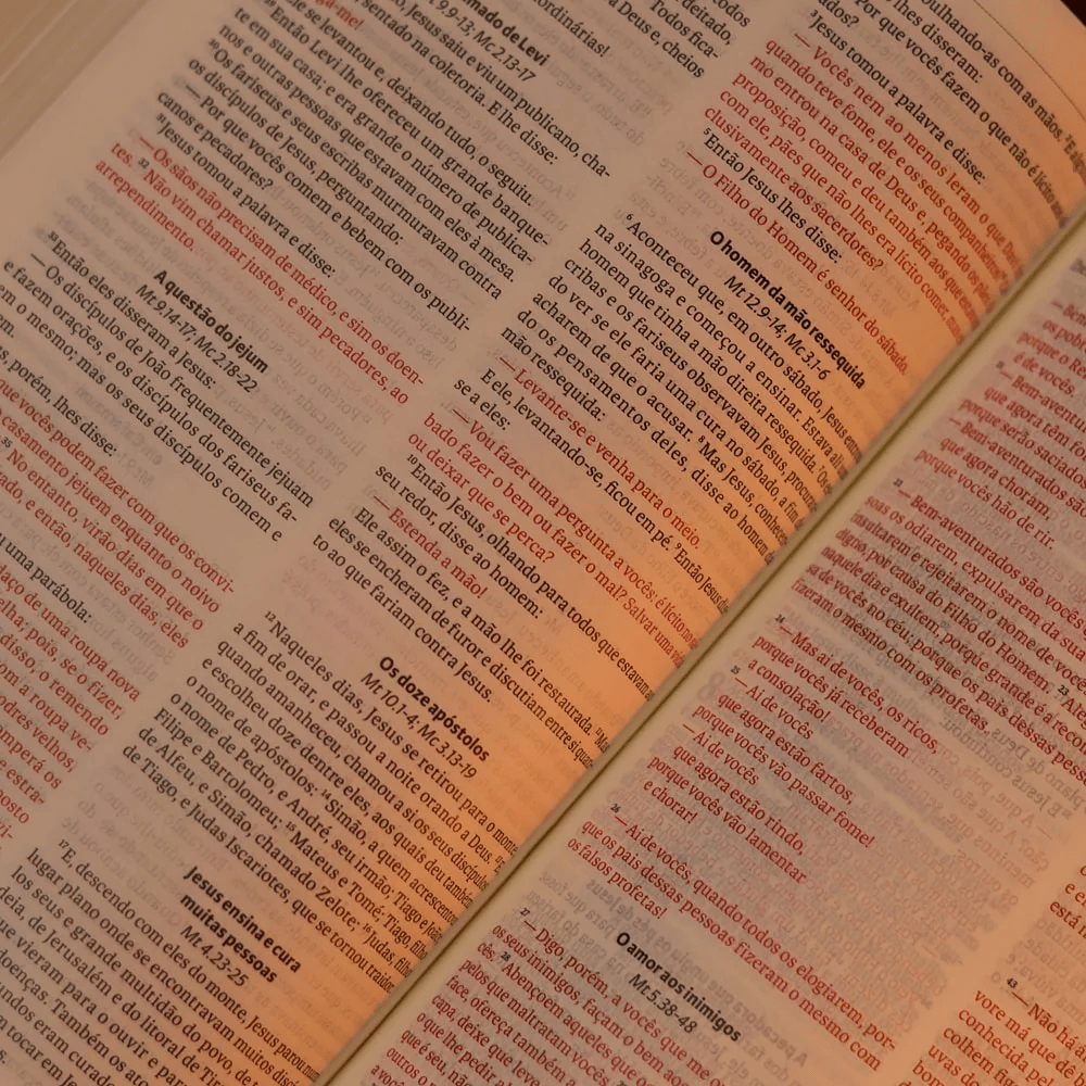 BIBLIA SAGRADA MAPAS MENTAIS NAA SLIM VINHO