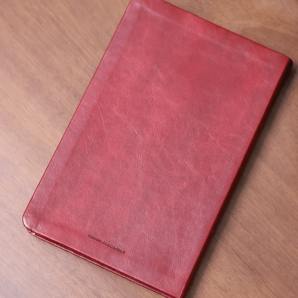 BIBLIA SAGRADA MAPAS MENTAIS NAA SLIM VINHO