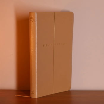 BIBLIA SAGRADA MAPAS MENTAIS NVI SLIM BEGE