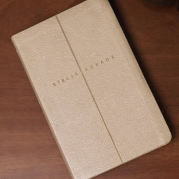 BIBLIA SAGRADA MAPAS MENTAIS NVI SLIM BEGE