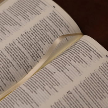 BIBLIA SAGRADA MAPAS MENTAIS NVI SLIM BEGE