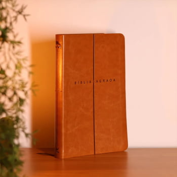 BIBLIA SAGRADA MAPAS MENTAIS NVI SLIM MARROM