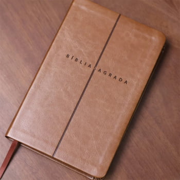 BIBLIA SAGRADA MAPAS MENTAIS NVI SLIM MARROM