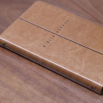 BIBLIA SAGRADA MAPAS MENTAIS NVI SLIM MARROM