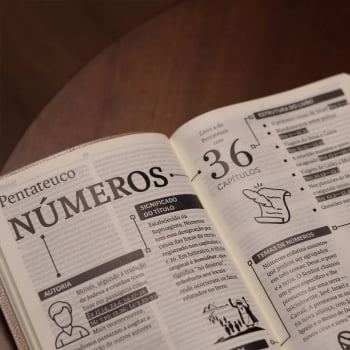 BIBLIA SAGRADA MAPAS MENTAIS NVI SLIM MARROM