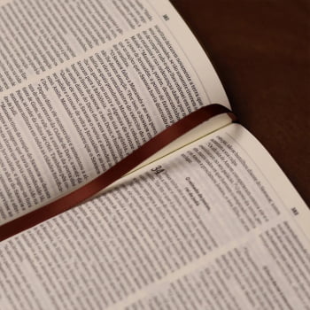 BIBLIA SAGRADA MAPAS MENTAIS NVI SLIM MARROM