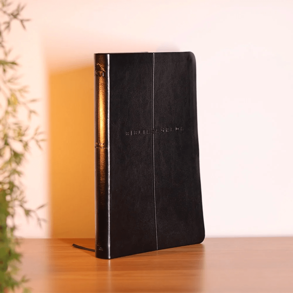 BIBLIA SAGRADA MAPAS MENTAIS NVI SLIM PRETO