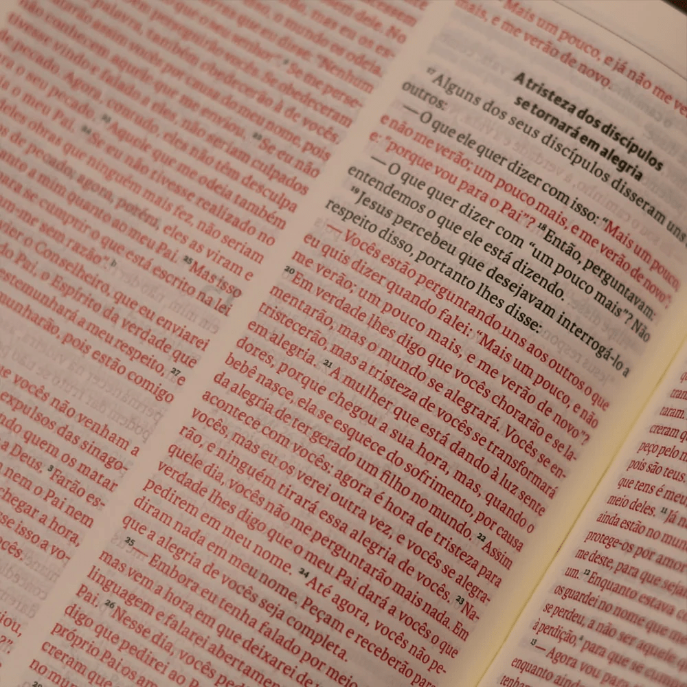 BIBLIA SAGRADA MAPAS MENTAIS NVI SLIM PRETO