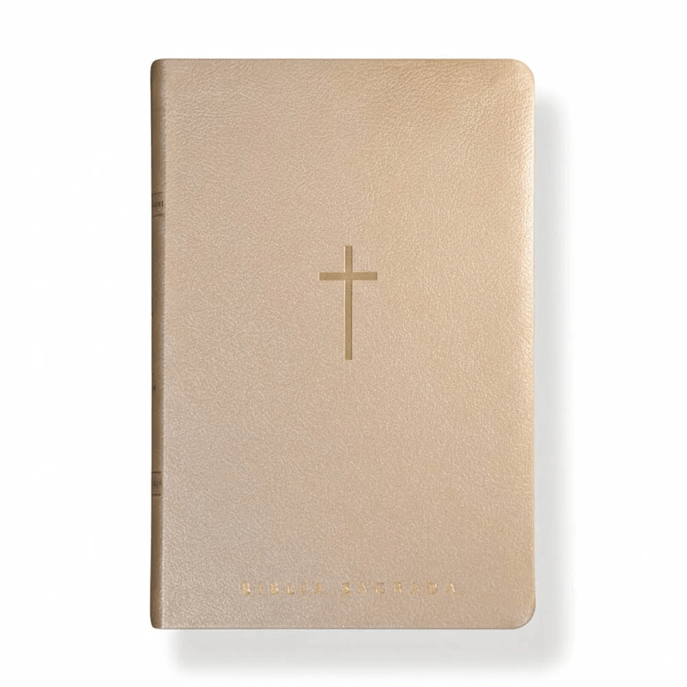 BIBLIA SAGRADA MAPAS MENTAIS NVT LETRA GIGANTE BEGE