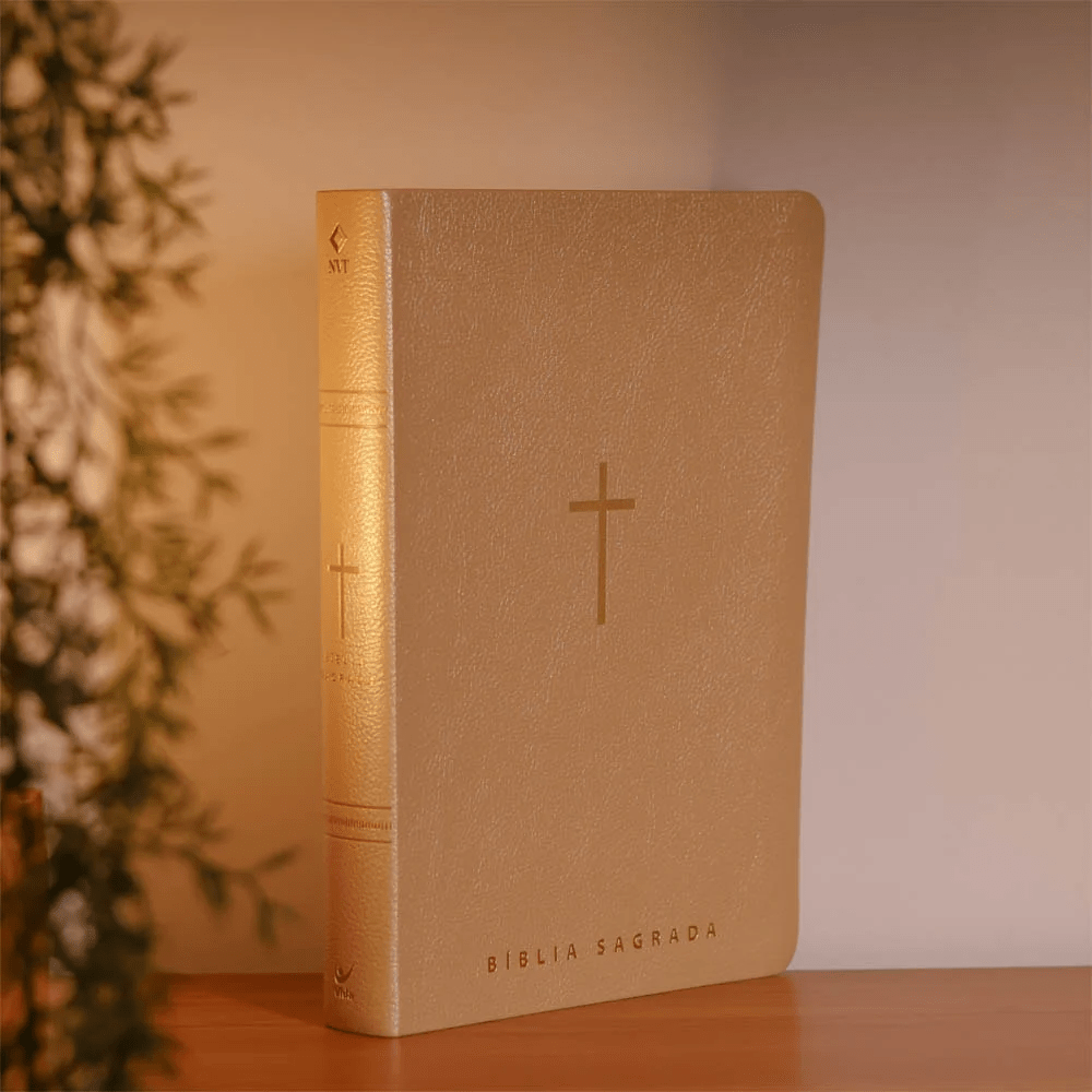 BIBLIA SAGRADA MAPAS MENTAIS NVT LETRA GIGANTE BEGE