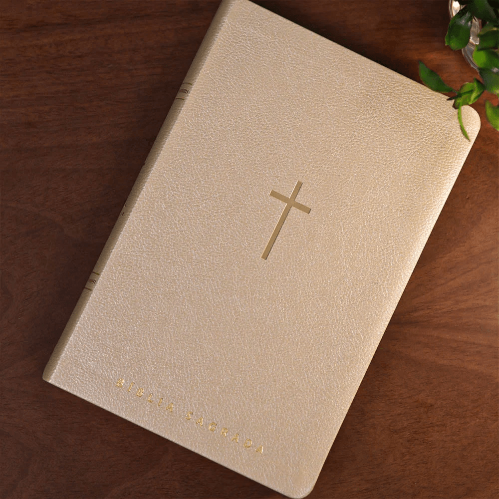 BIBLIA SAGRADA MAPAS MENTAIS NVT LETRA GIGANTE BEGE