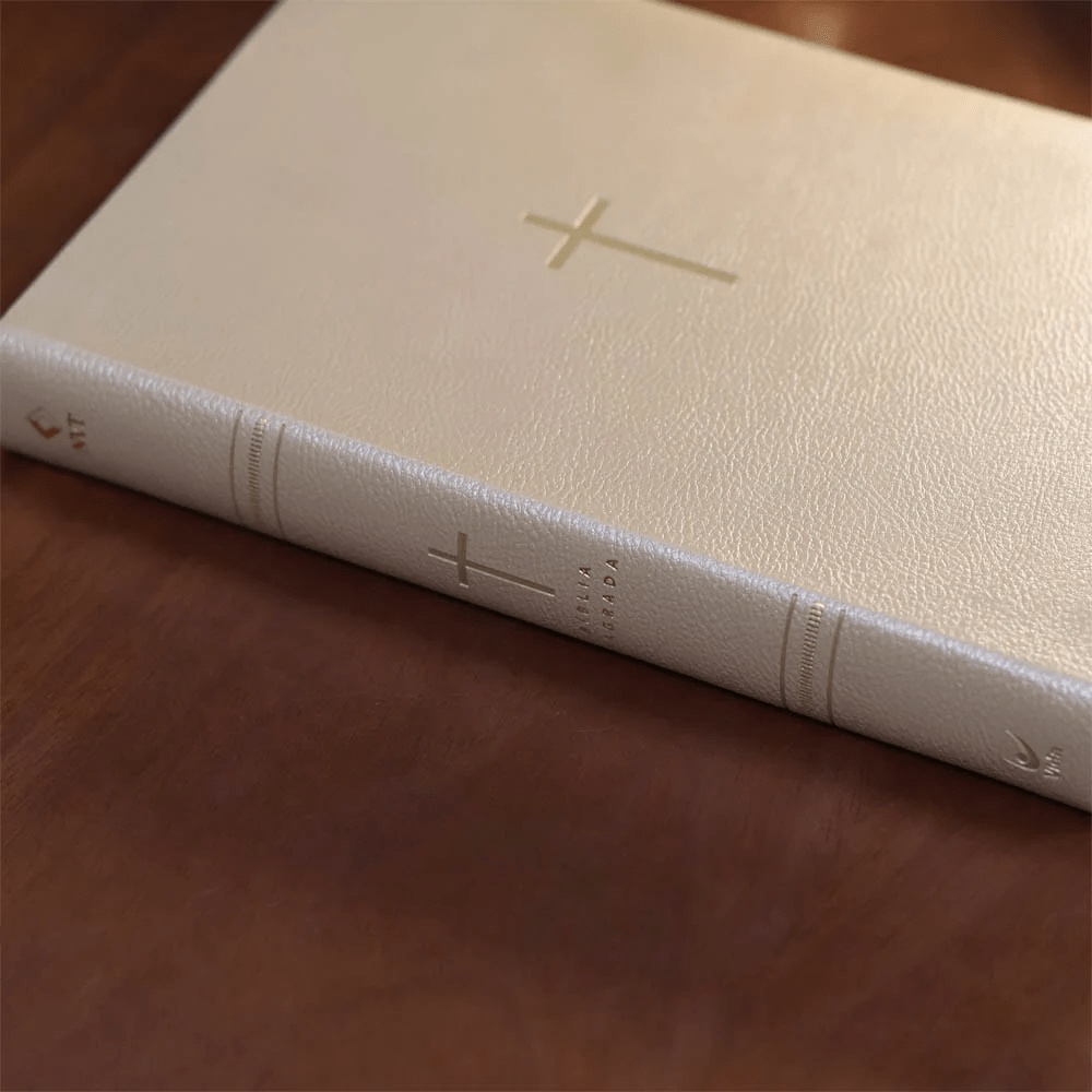 BIBLIA SAGRADA MAPAS MENTAIS NVT LETRA GIGANTE BEGE