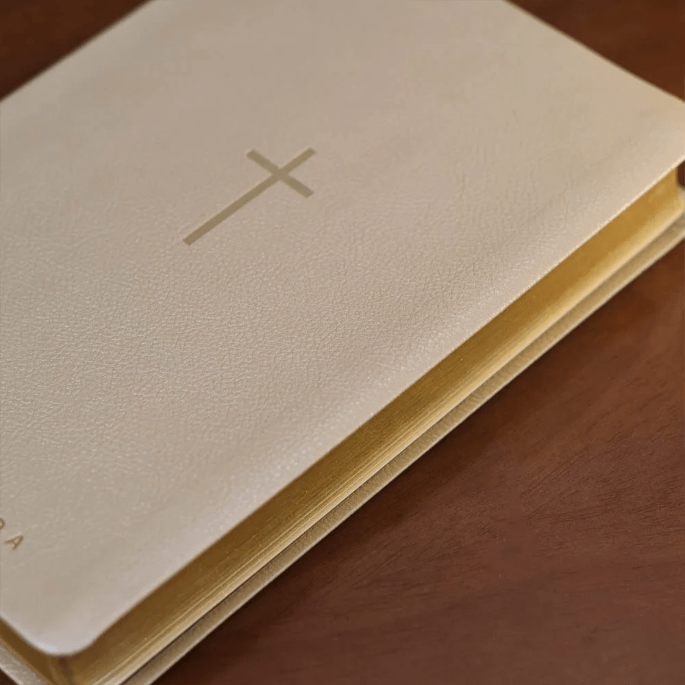 BIBLIA SAGRADA MAPAS MENTAIS NVT LETRA GIGANTE BEGE