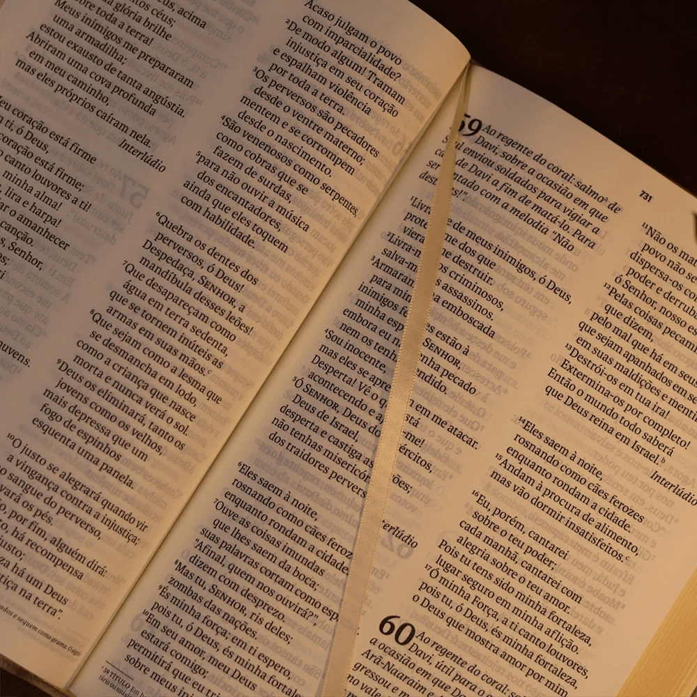 BIBLIA SAGRADA MAPAS MENTAIS NVT LETRA GIGANTE BEGE
