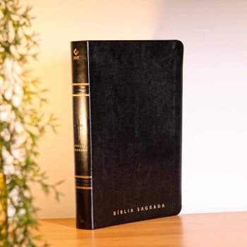 BIBLIA SAGRADA MAPAS MENTAIS NVT LETRA GIGANTE PRETO