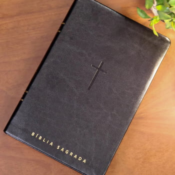 BIBLIA SAGRADA MAPAS MENTAIS NVT LETRA GIGANTE PRETO