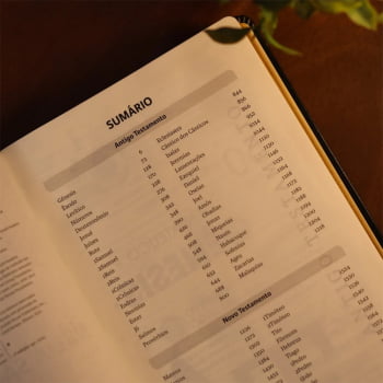 BIBLIA SAGRADA MAPAS MENTAIS NVT LETRA GIGANTE PRETO