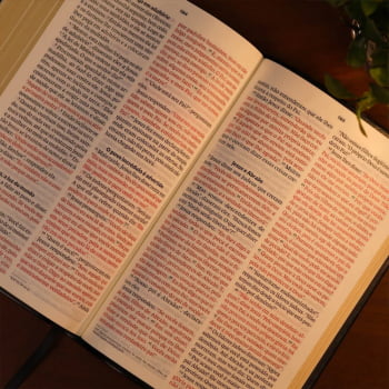BIBLIA SAGRADA MAPAS MENTAIS NVT LETRA GIGANTE PRETO