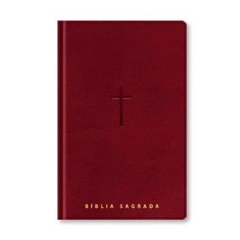 BIBLIA SAGRADA MAPAS MENTAIS NVT LETRA GIGANTE VINHO