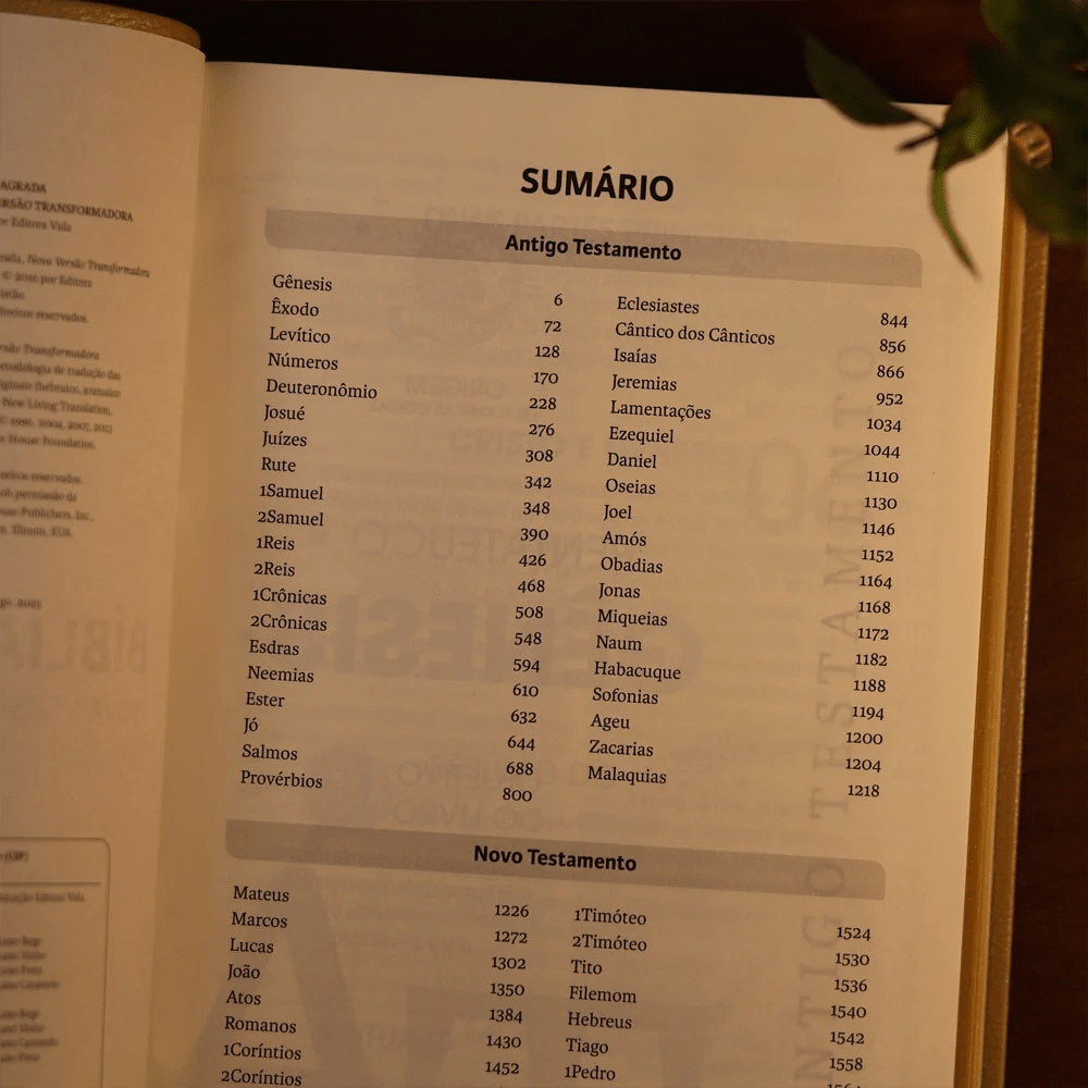 BIBLIA SAGRADA MAPAS MENTAIS NVT LETRA GIGANTE VINHO